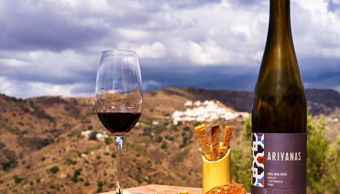 Utflykt Bodegas Bentomiz