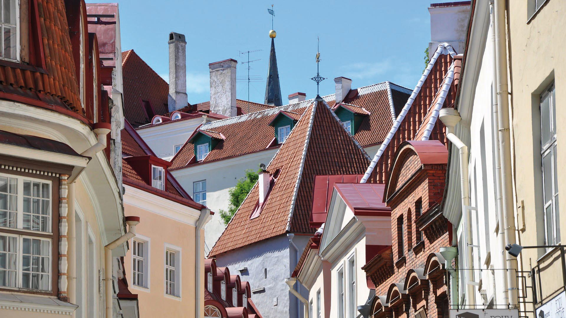 Tallinn Vinterspecial